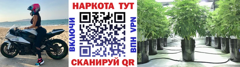 Купить закладку Изобильный СОЛЬ  Cocaine  Лсд 25  МАРИХУАНА  Меф мяу мяу 