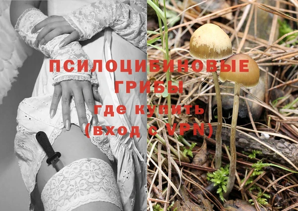 винт Каменск-Шахтинский