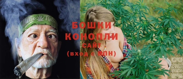 спайс Инсар