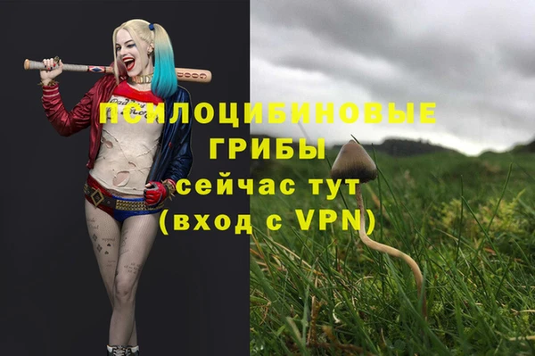 дистиллят марихуана Каменногорск