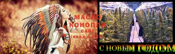 метадон Каменка