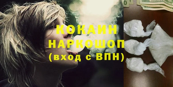 стафф Арсеньев