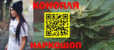 стафф Гай