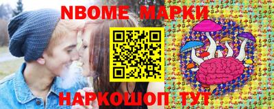 стафф Гай