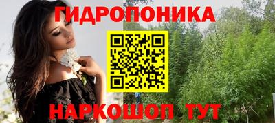 сатива Гагарин