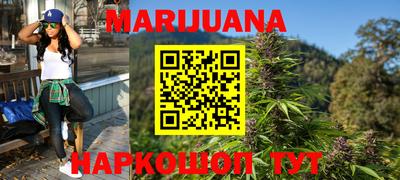 стафф Гай