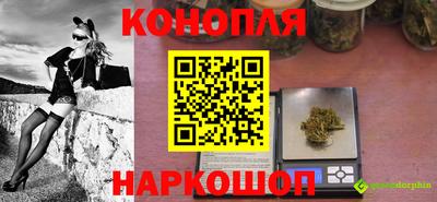 сатива Гагарин