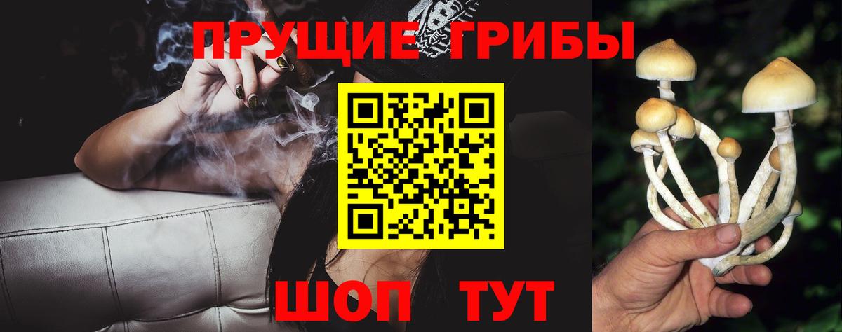 Псилоцибиновые грибы Psilocybine cubensis Изобильный