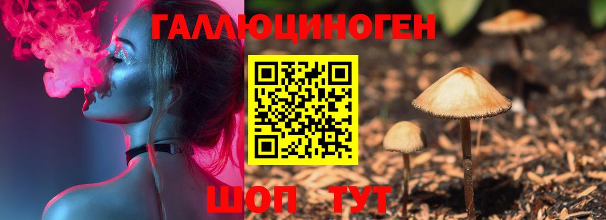 Псилоцибиновые грибы прущие грибы  Вход с VPN  что такое   Изобильный 